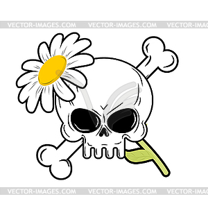 Skull and flower. symbol of death and symbol of life - vector image