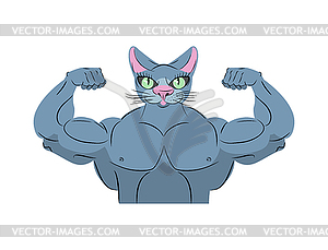 Strong cat. Power animal bodybuilder. Pet with big - vector image