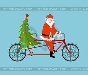 Santa Claus and Christmas tree ride bicycle. - vector clipart