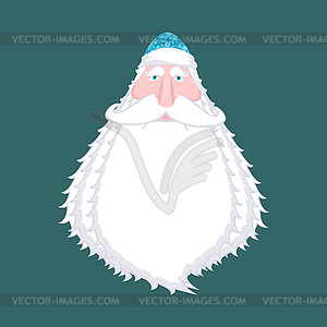 Ded Moroz- Russian Santa Claus. Santa of Russia - vector image