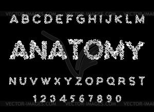 Anatomy font. Skeleton ABC. Letters Bones. Skull an - royalty-free vector clipart