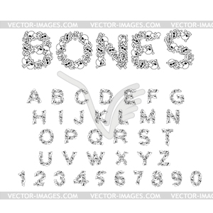 Bones alphabet. Letters anatomy. Skeleton font. - vector clip art