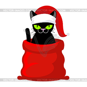 Christmas Cat. Pet in Santa Claus cap. Red bag - stock vector clipart