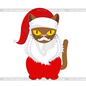 Cat Santa. Pet in Christmas cap. New Year . Xmas tem - vector image