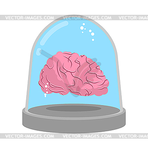 Brain in glass bell. Laboratory research. Study of - vector clipart