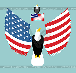 American Eagle. Most powerful Bird and US Flag. - vector image