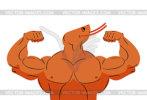 Strong athlete shrimp. Fitness marine animal athlet - vector clip art