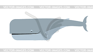 Синий кит белый фон. морские анима - цветной векторный клипарт