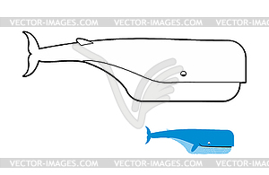 Sperm whale coloring book. Blue whale - vector clipart