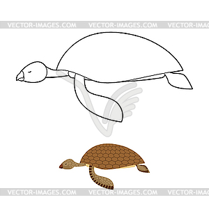 Water turtle coloring book. Marine animal with - vector image