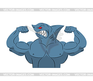 Strong shark athlete. Fish bodybuilder with huge - vector image