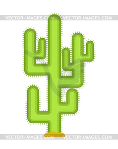 Cactus . Large peyote of desert - vector image