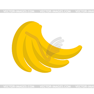 Bunch of bananas . pile of banana - vector image