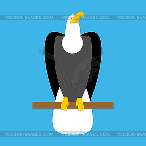 Bald eagle . Big Bird symbol of America - vector clip art