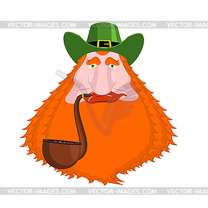 St. Patrick`s Day Leprechaun with red beard and - vector clipart