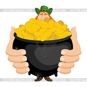 St. Patrick`s Day. Leprechaun and pot of gold. Magi - vector clip art