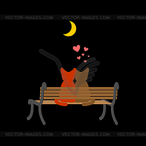 Cat lovers sitting on bench. Pet Romantic date. Cat - vector clipart / vector image