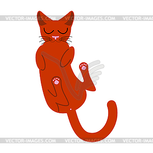 Sleeping cat . Pet sleeps on his back - vector clipart / vector image