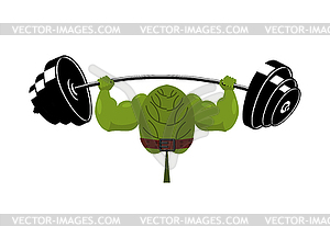 Strong spinach and barbell. Healthy useful plant - vector image