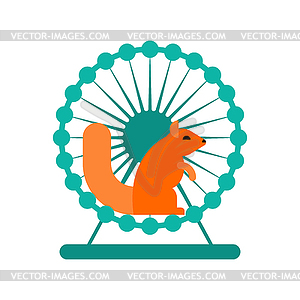 Squirrel in wheel. toy for animal. Wild Beast - vector image