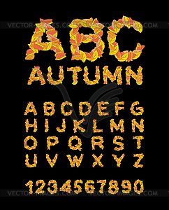 Autumn font. Yellow leaves of alphabet. autumnal - vector clipart