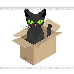 Cat in box . Pet in cardboard box - color vector clipart