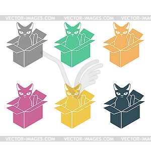 Cat in box set. Pet in cardboard box - vector image