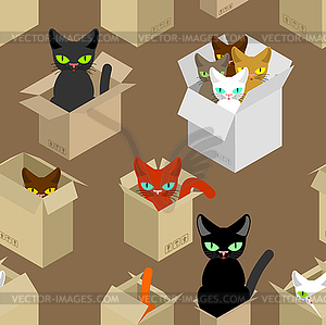 Cat in box pattern. Pet in cardboard box background - vector clip art