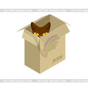 box pet