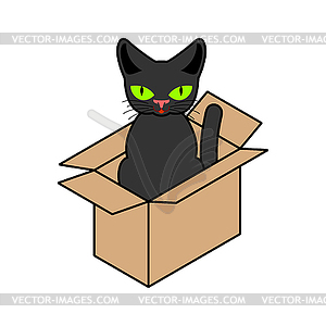 Cat in box . Pet in cardboard box - color vector clipart