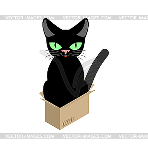 Cat in box . Pet in cardboard box - vector image