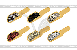 Rice in wooden scoop set. Parboiled and brown. Blac - vector clipart