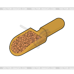 Buckwheat in wooden scoop . Groats in wood shovel. - vector image