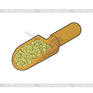 Raw buckwheat in wooden scoop . Groats in wood - color vector clipart