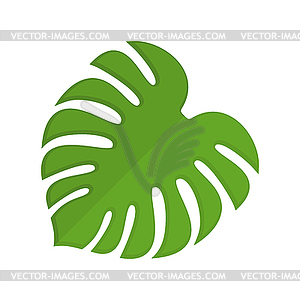 Monstera . Tropical leaves. i - vector clip art