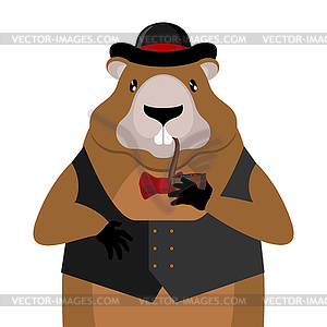 Groundhog Day. Marmot in hat and with pipe. Rodent - vector clipart