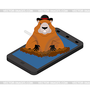 Groundhog Day. Marmor in phone. woodchuck in gadget. On - vector image