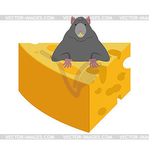 Mouse and cheese. Rodent - vector clipart