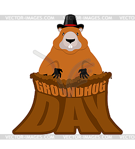 Groundhog Day. Marmot in hat. Rodent aristocrat. fo - color vector clipart