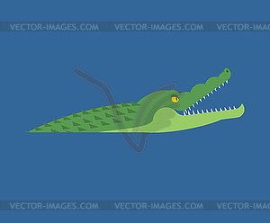 Crocodile in water. Alligator in river. Predator - vector image