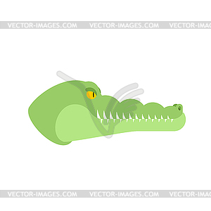 Crocodile head. Alligator muzzle . Predator - vector clip art
