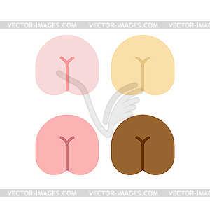 Ass icon set. Backside . bottom - vector clipart / vector image