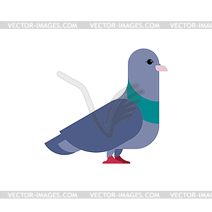 Голубь . голубка - векторная иллюстрация