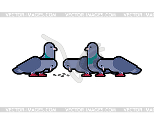 Pigeon . Dove - vector clipart