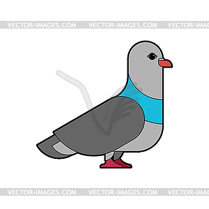 Pigeon . Dove - vector clipart