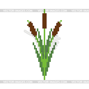 Reeds pixel art. Pond plant 8 bit - vector clipart