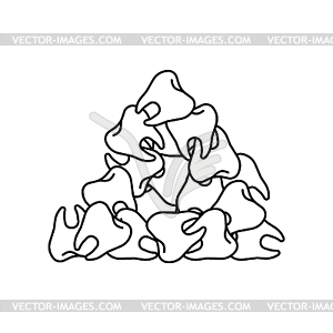 Tooth is pile. Many teeth. Treasure for tooth fairy - vector image