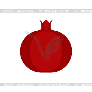 Pomegranate whole fresh juicy fruit . illustratio - vector image