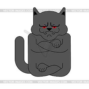 Grumpy cat . Angry pet - vector image