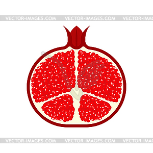 Pomegranate cut fresh juicy fruit  - vector clipart